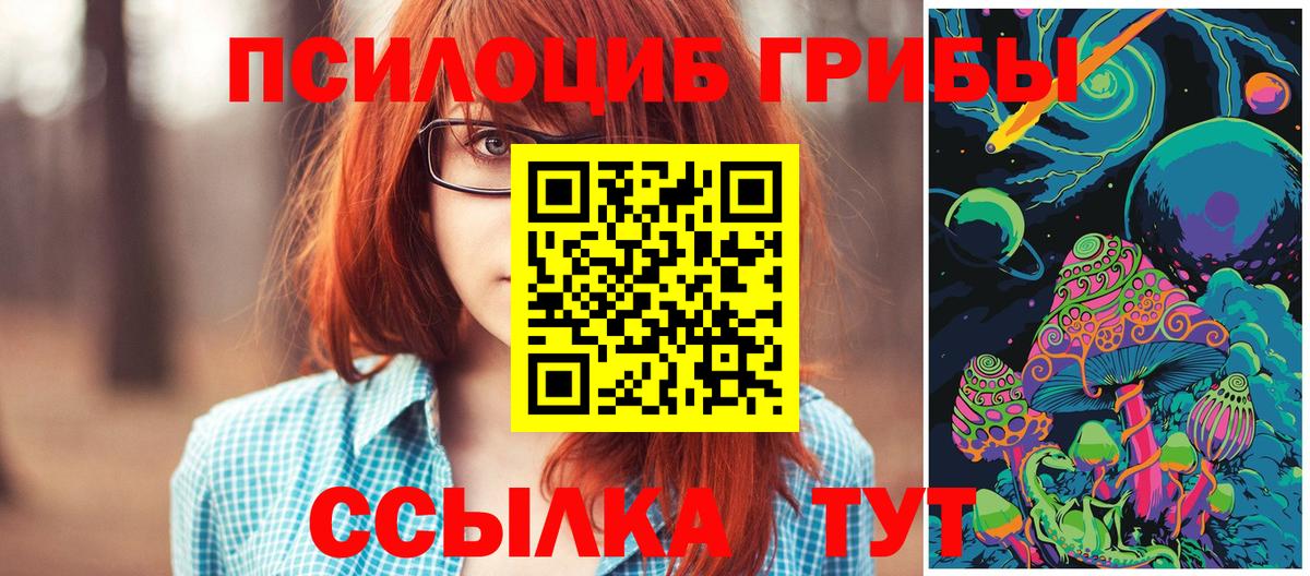Магадан  Псилоцибиновые грибы Magic Shrooms  Вход с VPN 