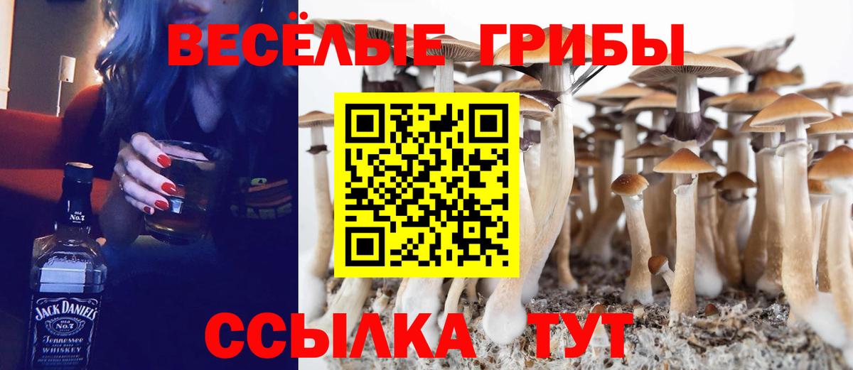 Галлюциногенные грибы прущие грибы Магадан